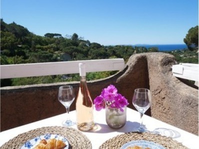 Location Bel appartement climatisé vue mer Mas de Gigaro